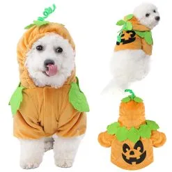 Joyin Pet Pumpkin Costume
