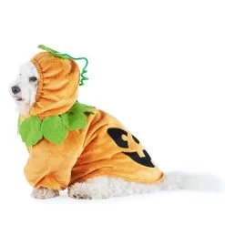 Joyin Pet Pumpkin Costume -VooDoo Costumes shop pumpkin pet costume alt 2