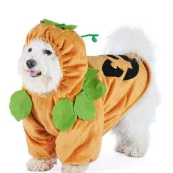Joyin Pet Pumpkin Costume -VooDoo Costumes shop pumpkin pet costume alt 3